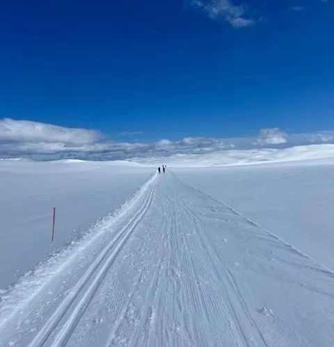 Ferienhaus Log With Panoramic Views Of Hallingskarvet *